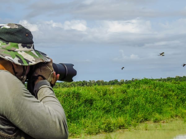The Ultimate Bird Watching Guide for 2026